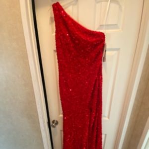 Red Sequin Velvet Dress
